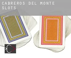 Cabreros del Monte  slots
