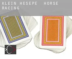Klein Hesepe  horse racing