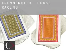 Krummendiek  horse racing