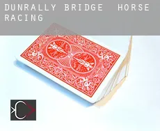 Dunrally Bridge  horse racing
