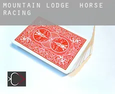 Mountain Lodge horse racing