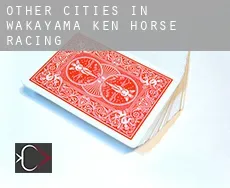 Other cities in Wakayama-ken  horse racing
