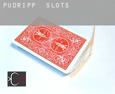 Pudripp  slots