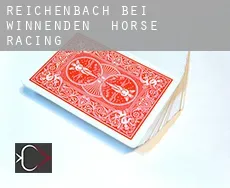 Reichenbach bei Winnenden  horse racing