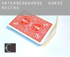 Unterbernhards  horse racing