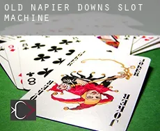 Old Napier Downs slot machine