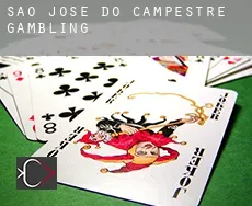 São José do Campestre  gambling