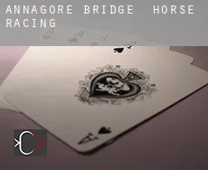 Annagore Bridge horse racing