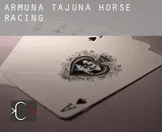 Armuña de Tajuña  horse racing