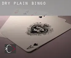 Dry Plain  bingo