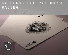 Gallegos del Pan horse racing
