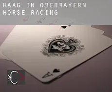 Haag in Oberbayern  horse racing
