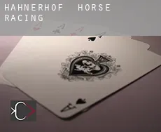 Hahnerhof horse racing