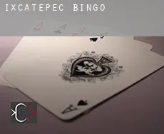 Ixcatepec bingo