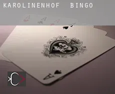 Karolinenhof bingo