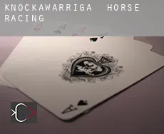 Knockawarriga  horse racing