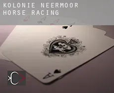 Kolonie Neermoor horse racing