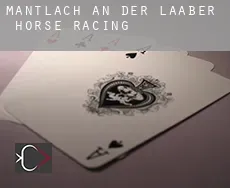 Mantlach an der Laaber  horse racing