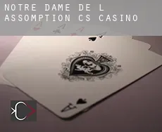 Notre-Dame-de-l'Assomption (census area)  casino