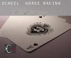 Scheel  horse racing