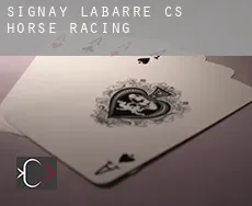 Signay-Labarre (census area) horse racing