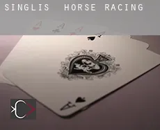 Singlis  horse racing