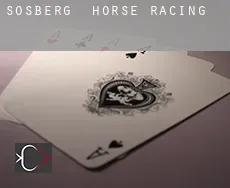 Sosberg  horse racing