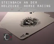 Steinbach an der Holzecke  horse racing