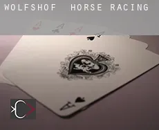 Wolfshof  horse racing
