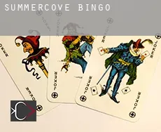 Summercove  bingo