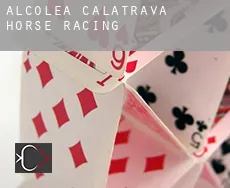Alcolea de Calatrava  horse racing