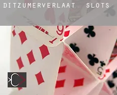 Ditzumerverlaat  slots