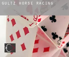 Gültz  horse racing