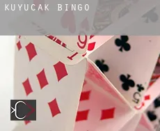 Kuyucak  bingo