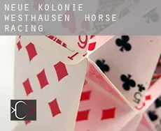 Neue Kolonie Westhausen  horse racing