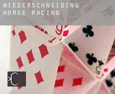 Niederschneiding  horse racing