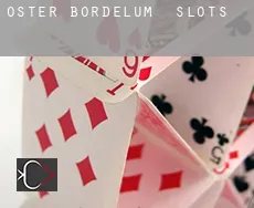 Oster Bordelum  slots
