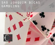 São Joaquim de Bicas  gambling