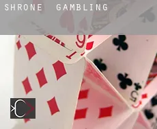 Shrone gambling