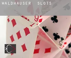 Waldhäuser  slots
