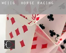 Weißig horse racing