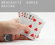 Brachwitz  horse racing