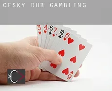 Český Dub  gambling