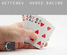 Gettenau horse racing