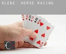 Klebe  horse racing