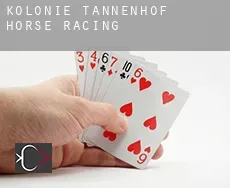 Kolonie Tannenhof  horse racing
