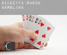 Ricketts Marsh  gambling