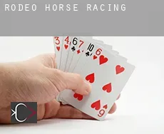Rodeo  horse racing