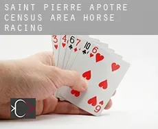 Saint-Pierre-Apôtre (census area)  horse racing