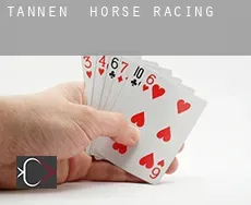 Tannen horse racing